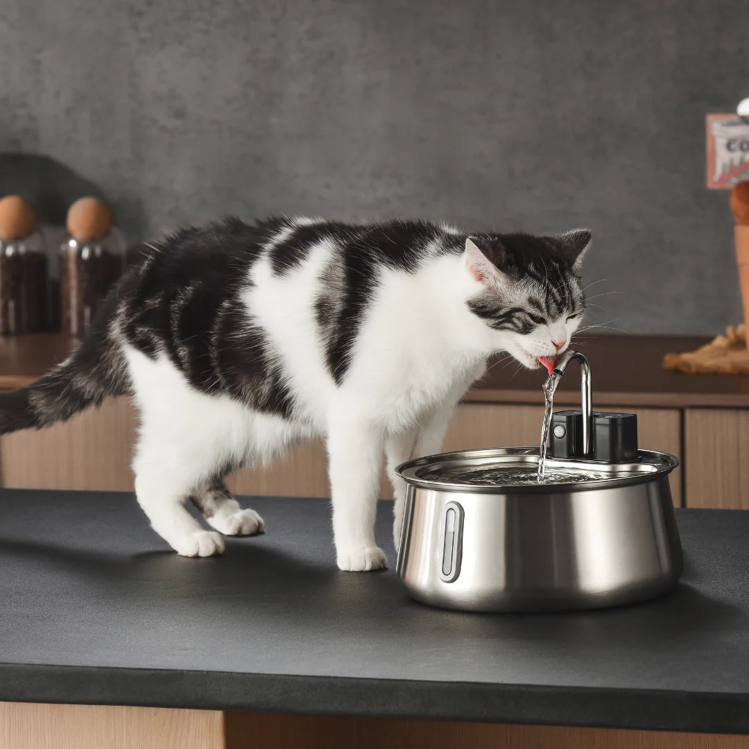 Nuveila™ Trinkbrunnen für Katzen