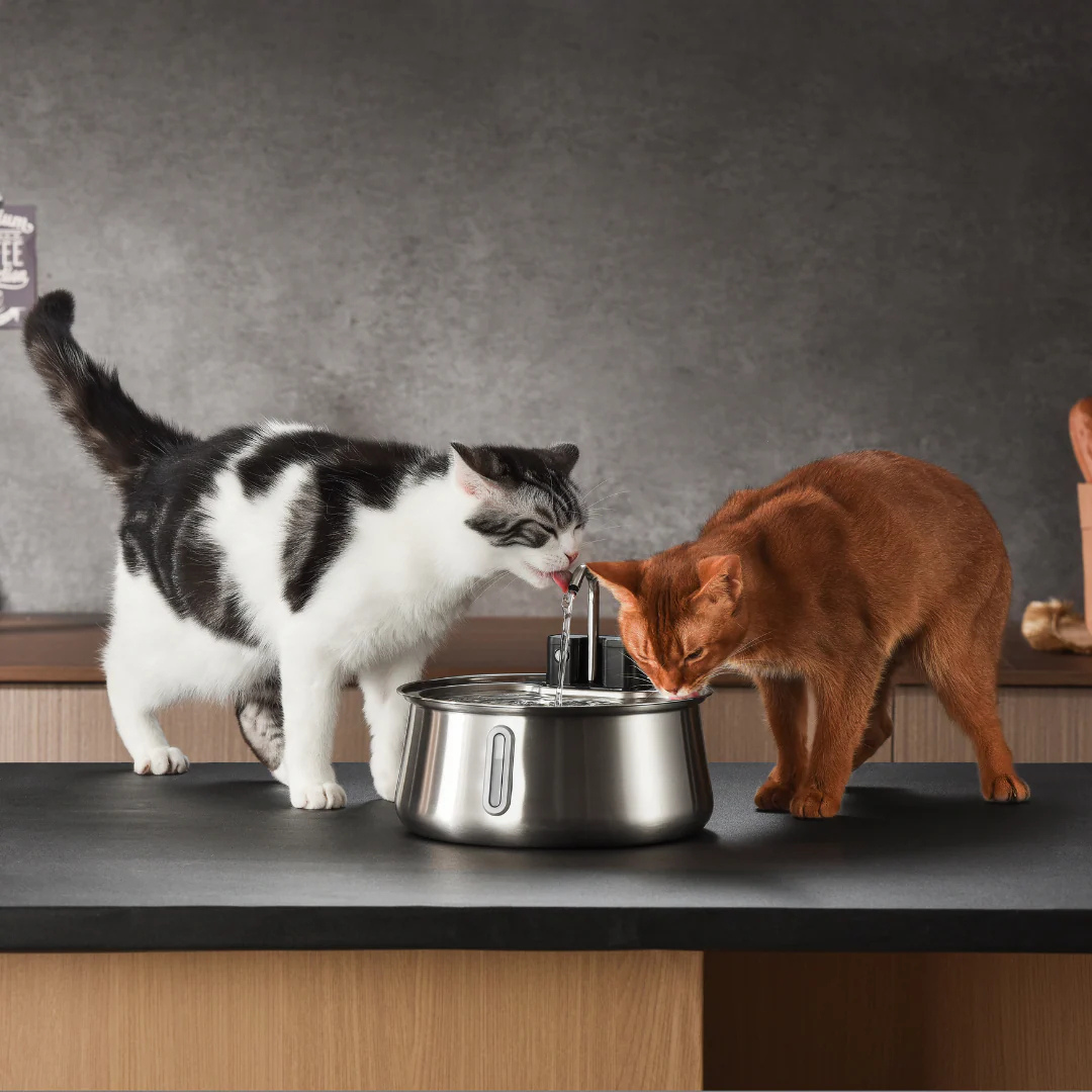 Nuveila™ Trinkbrunnen für Katzen