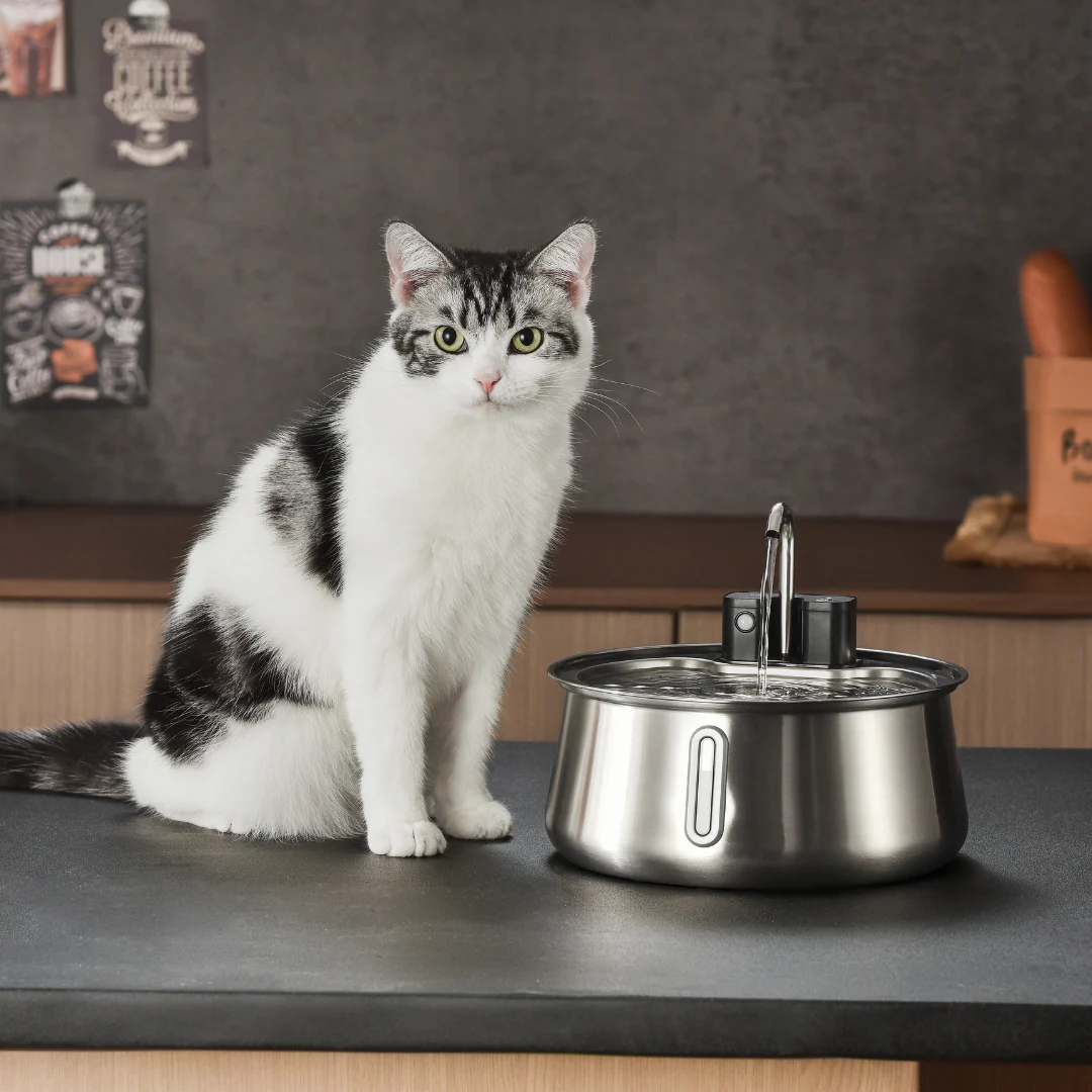 Nuveila™ Trinkbrunnen für Katzen
